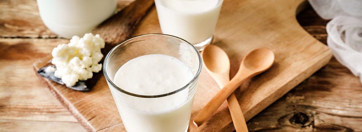 Probiyotik Bağırsak Düzenleyici Gıdalar Nelerdir?